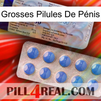 Grosses Pilules De Pénis 39